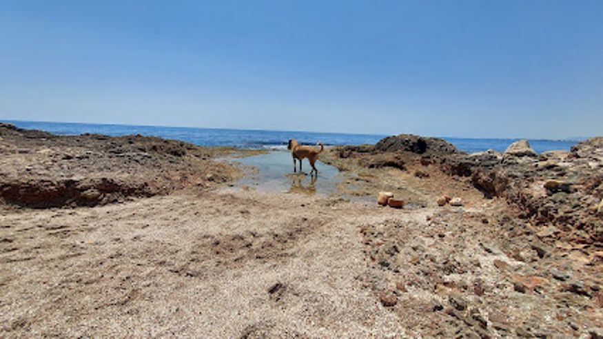 Natación - Deportes agua - Kayak -  Platja de Ribamar - ALCOSSEBRE