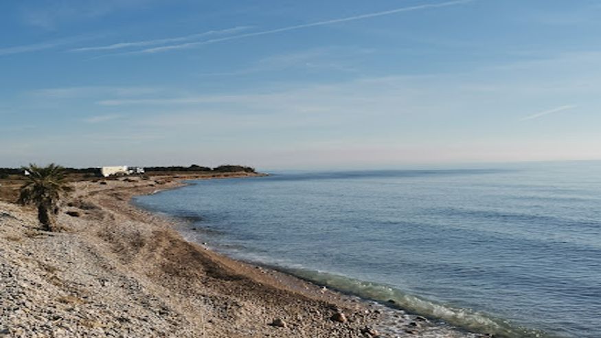 Natación - Deportes agua - Kayak -  Platja Nord de Torreblanca - TORREBLANCA