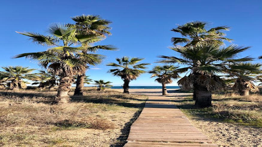 Deportes agua - Paddle surf - Kayak -  Platja el Palmeral - CASTELLON DE LA PLANA