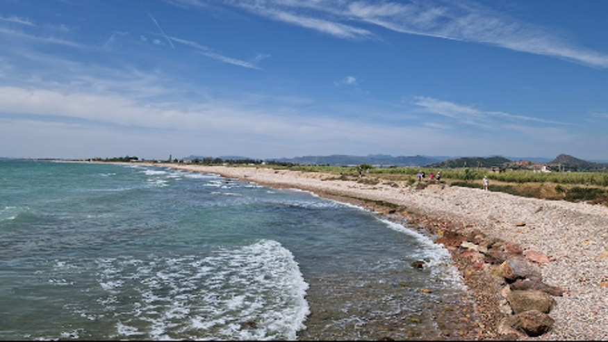 Infantil / Niños - Deportes agua - Paddle surf -  Gola de la Llosa - CASTELLON DE LA PLANA
