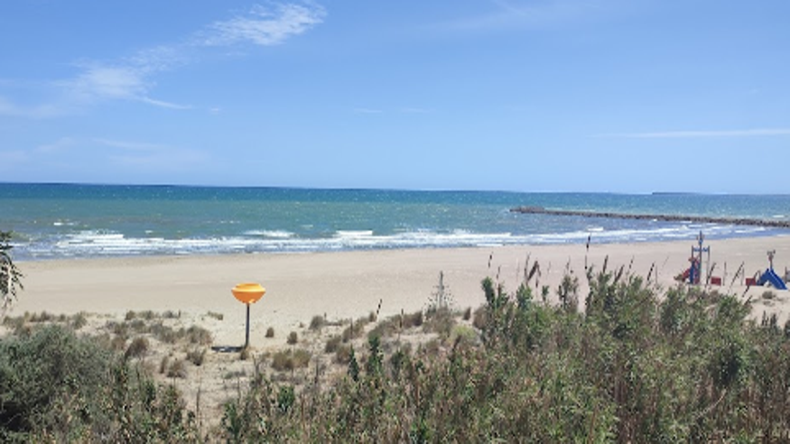 Infantil / Niños - Deportes agua - Windsurf -  Playa de Meliana - VALÈNCIA