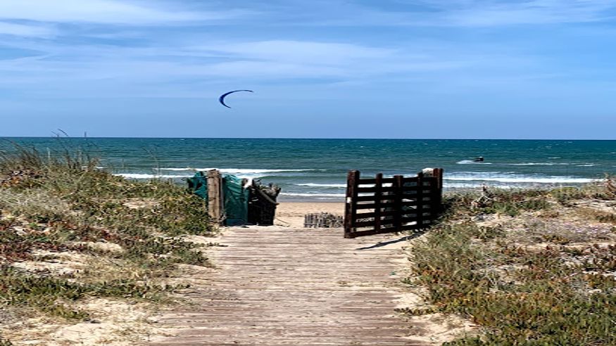 Natación - Vóleibol - Paddle surf -  Playa Dénia - DENIA