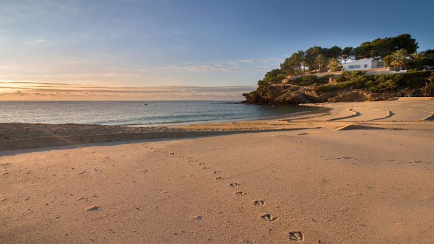 Submarinismo - Deportes agua - Paddle surf -  Cala de la Fustera - BENISSA