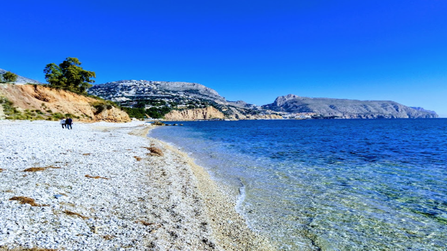 Animales y mascotas - Juegos - Deportes agua -  playa para perros Altea Alicante - ALTEA