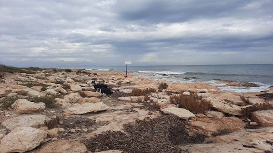 Animales y mascotas - Deportes agua - Kayak -  Playa para perros Santa Pola - SANTA POLA