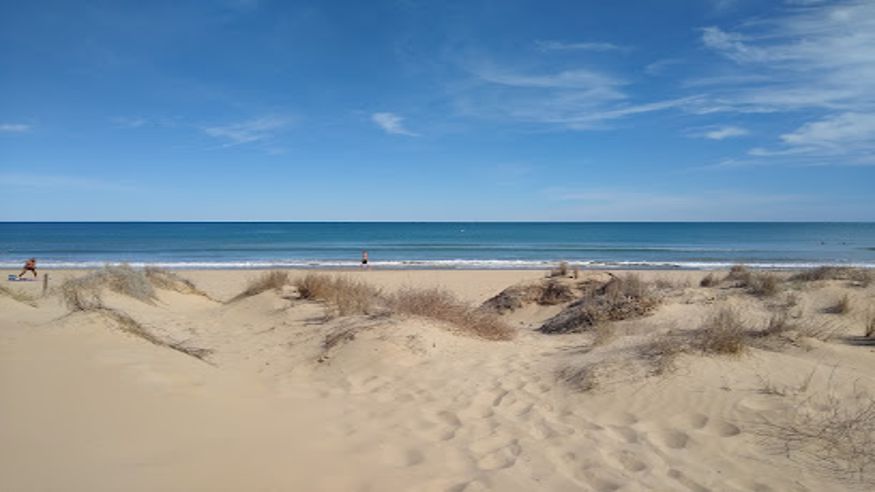 Natación - Infantil / Niños - Deportes agua -  Platja Els Tossals - GUARDAMAR DEL SEGURA