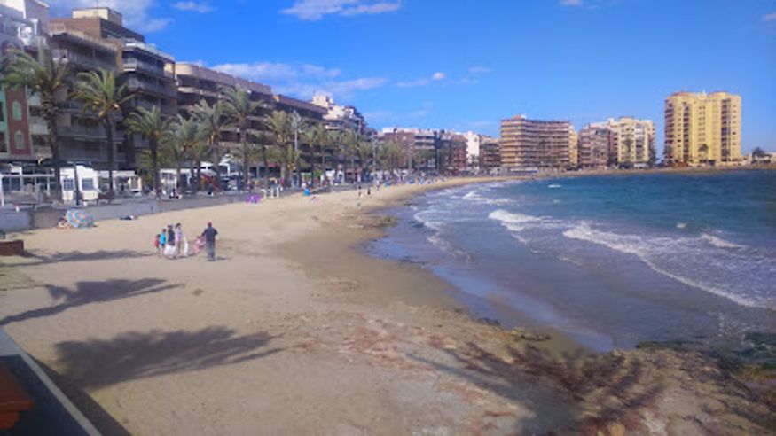 Natación - Infantil / Niños - Deportes agua -  Playa Torrevieja - TORREVIEJA