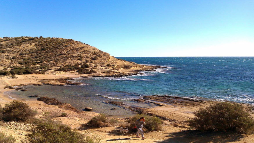 Submarinismo - Deportes agua - Kayak -  Cala Cantalar - ALICANTE/ALACANT