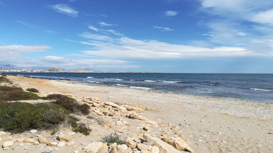 Animales y mascotas - Deportes agua - Paddle surf -  Playa Perros Alicante - ALICANTE/ALACANT