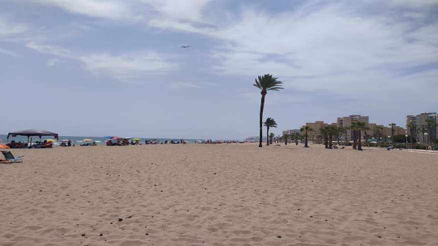 Natación - Infantil / Niños - Deportes agua -  Playa de los Saladares - ALICANTE/ALACANT