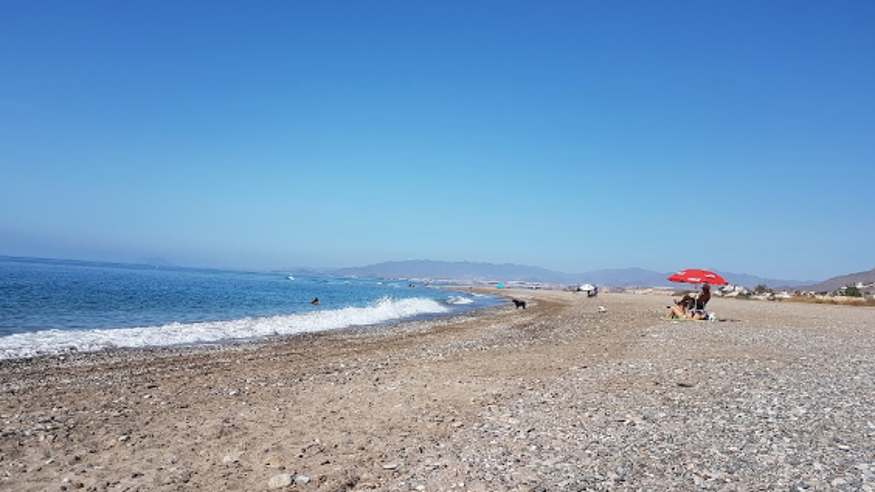 Infantil / Niños - Deportes agua - Paddle surf -  Playa para Perros - MURCIA