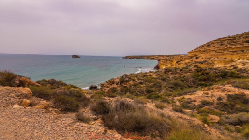 Infantil / Niños - Deportes agua - Paddle surf -    Playa Amarilla - MURCIA