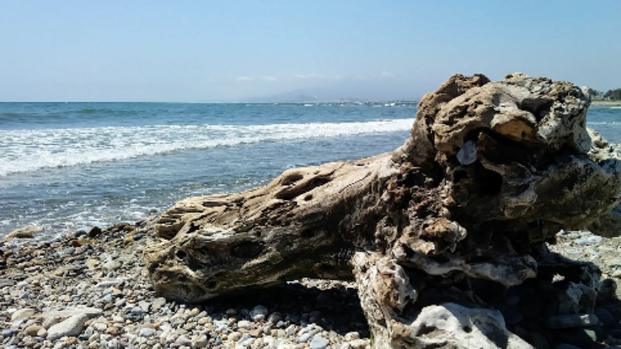 Submarinismo - Deportes agua - Kayak -  Playa de la Fábrica del Duro - ALMERIA