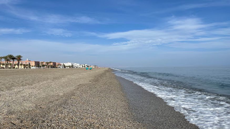 Infantil / Niños - Deportes agua - Paddle surf -  Playa Serena - ROQUETAS DE MAR