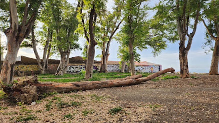 Infantil / Niños - Deportes agua -  Parque Baños del Carmen - MÁLAGA