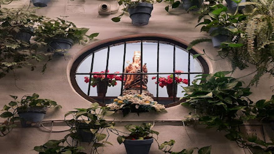 Infantil / Niños - Deportes agua -  Playa de la Caleta - MÁLAGA