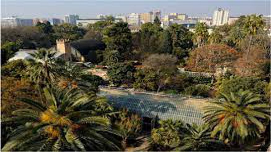 Parques - Cultura / Arte - Deportes aire libre -  Paseo por el Jardín Botánico de la Universidad de Valencia - VALÈNCIA