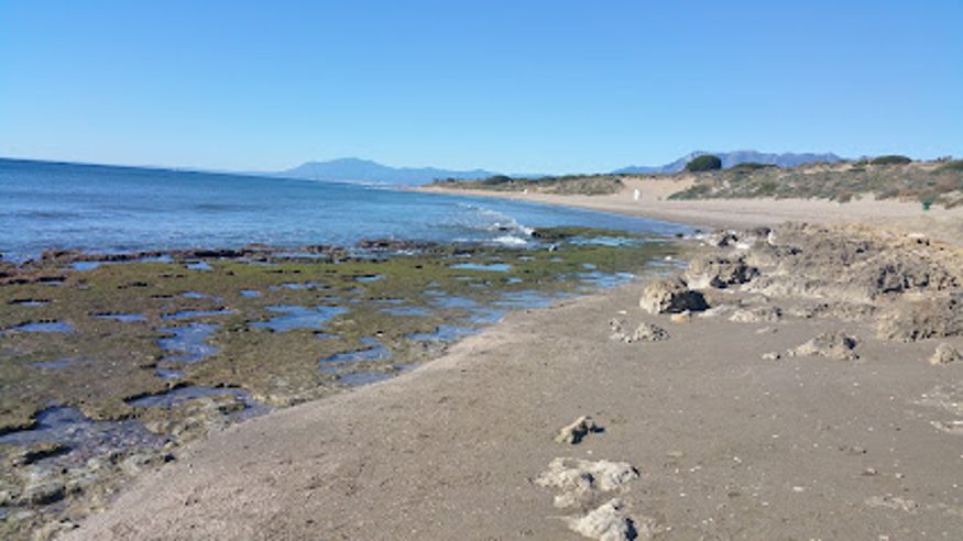 Infantil / Niños - Deportes agua -  Playa de Cabopino (nudista) - MARBELLA
