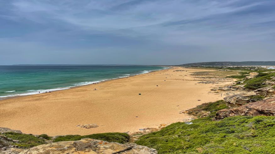 Infantil / Niños - Deportes agua - Paddle surf -  Playa de Zahara - ZAHARA DE LOS ATUNES