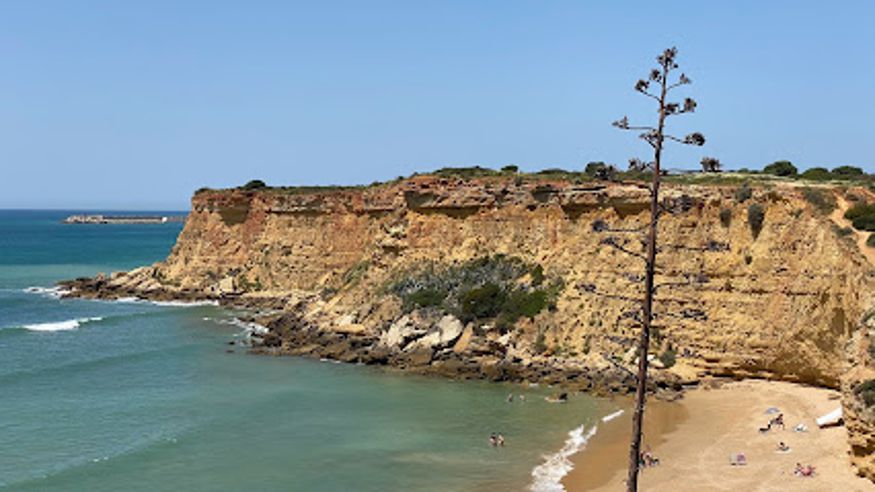 Infantil / Niños - Deportes agua - Paddle surf -  Cala del Puntalejo - CONIL DE LA FRONTERA