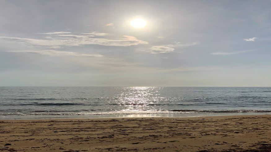 Infantil / Niños - Deportes agua - Paddle surf -  Playa de Torregorda - SAN FERNANDO