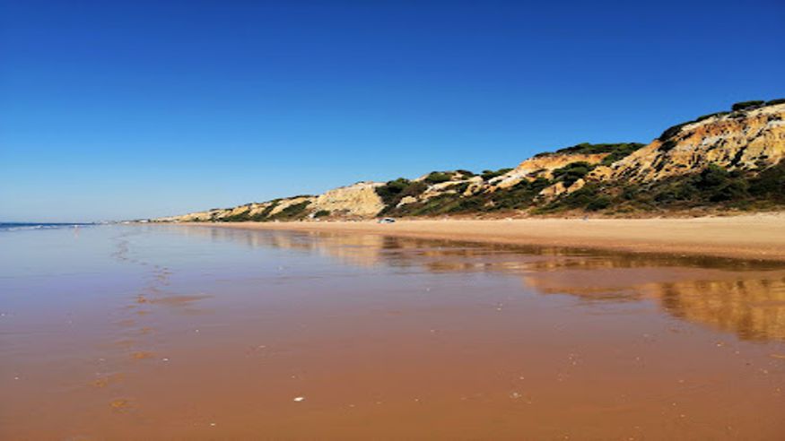 Infantil / Niños - Deportes agua - Paddle surf -  Playa de Rompeculos - PALOS DE LA FRONTERA