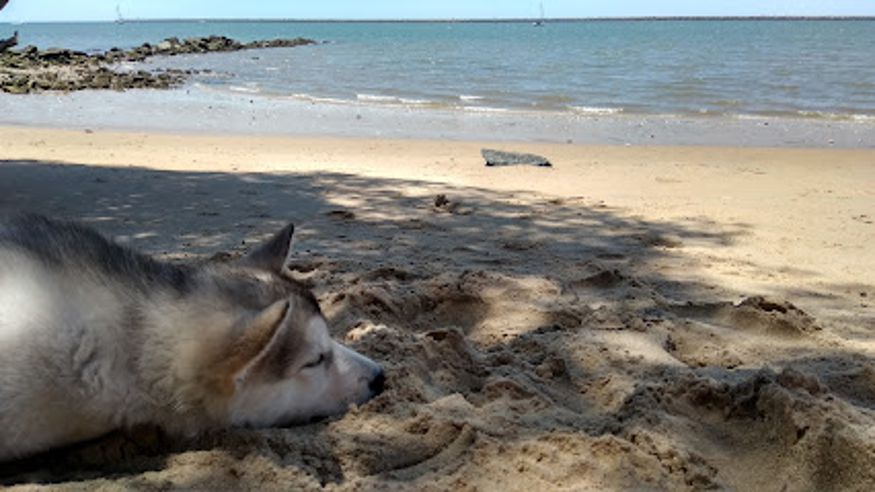 Infantil / Niños - Deportes agua - Paddle surf -  Playa Almirante Cristobal Colón - MAZAGON