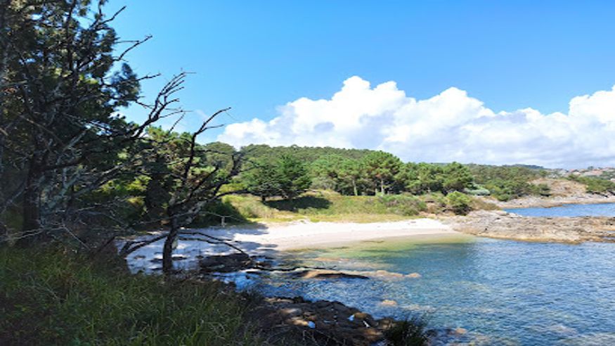 Formación / Bienestar - Infantil / Niños - Deportes agua -  Praia das Moscas - CANGAS