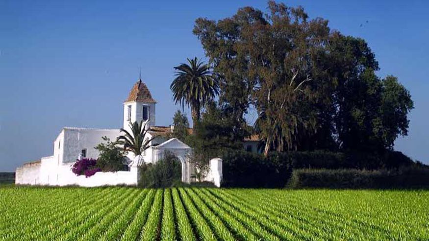 Otros gastronomía - Museos y monumentos - Ruta cultural -  Museo de la Horchata y la Chufa - ALBORAIA/ALBORAYA