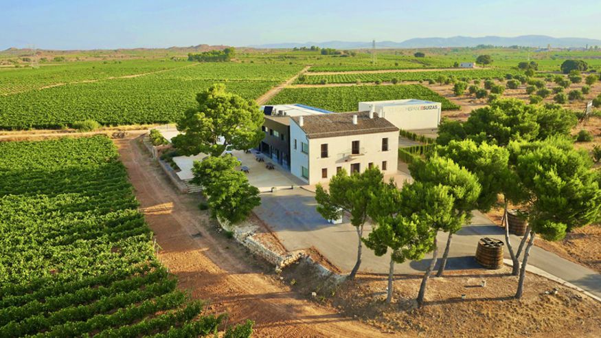 Catas - Restauración / Gastronomía - Ruta cultural -  Excursión a las bodegas de Requena - VALÈNCIA