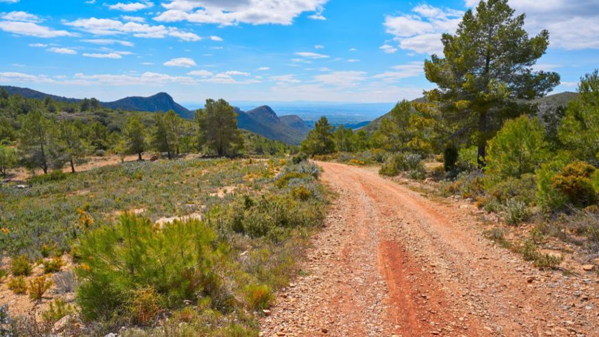 Parques - Coches - Ruta cultural -  Excursión en 4x4 por la Sierra Calderona - VALÈNCIA
