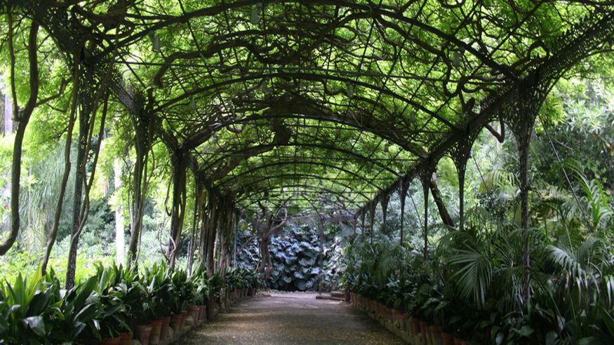 Otros cultura y arte - Ruta cultural -  Jardín Botánico-Histórico La Concepción Málaga - MÁLAGA