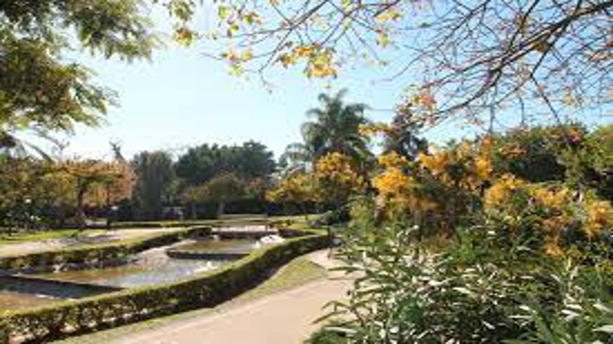 Parques -  Parque del Sol Fuengirola - FUENGIROLA