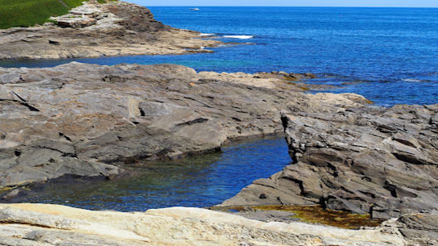 Natación - Infantil / Niños - Deportes agua -  O porto de Fazouro - FOZ