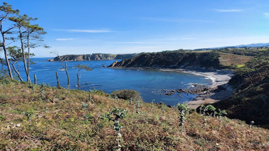 Natación - Infantil / Niños - Deportes agua -  Playas de Armazá y El Barco - NAVIA