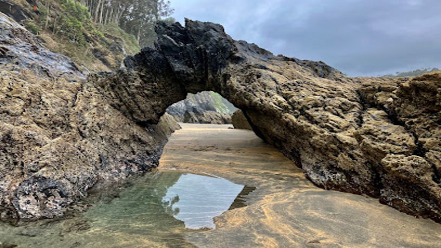 Natación - Infantil / Niños - Deportes agua -  Playa del Castro - OTUR