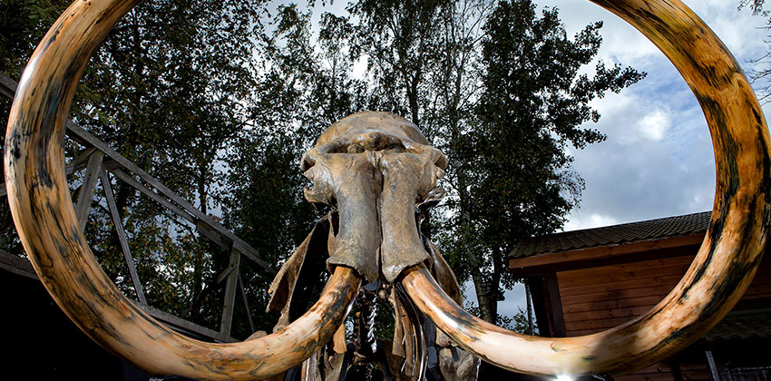 Infantil / Niños - Teatro - Teatro infantil -  MAMUT EL GIGANTE DE LA EDAD MEDIA - CAIXAFORUM - SEVILLA