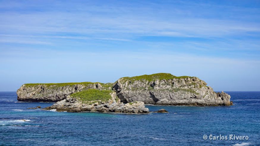 Natación - Infantil / Niños - Deportes agua -  Playa el Cuerno - MIENGO