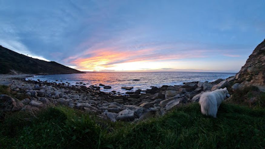 Natación - Infantil / Niños - Deportes agua -  Playa Agiti Bidea - DONOSTIA / SAN SEBASTIAN