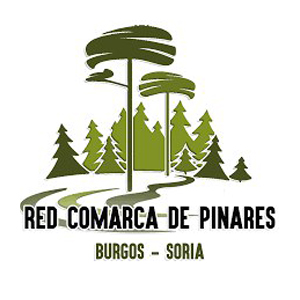 Info Red Comarca de Pinares_profile_picture